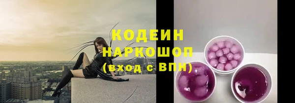 ешки Арсеньев