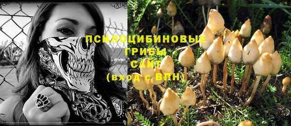 прущий лед Армянск
